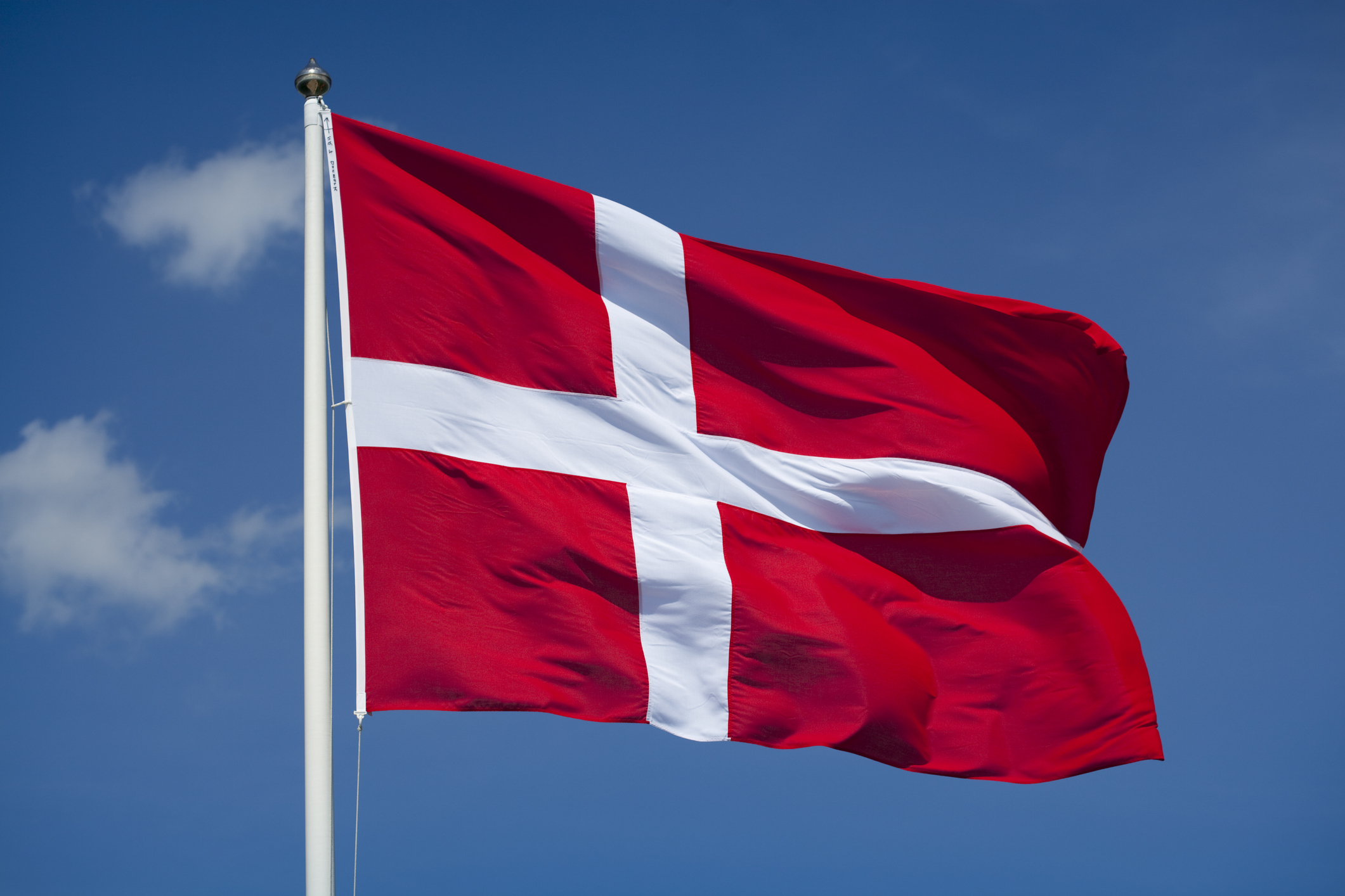 Det danske flag